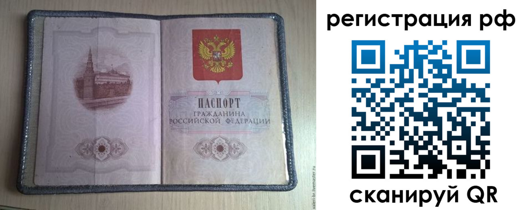 прописка поиск в Сольцах
